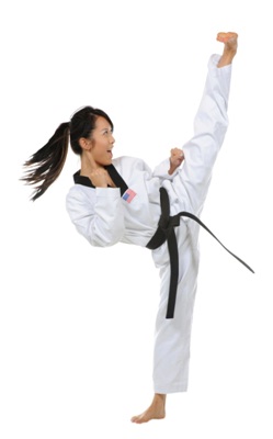 Taekwondo Training Program